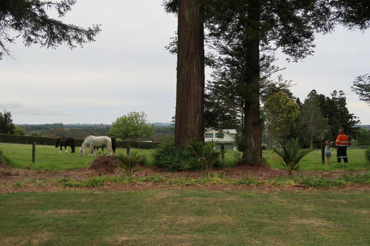 Cosy Nights - Modern, Self-Contained With Parking Apartment Kerikeri Bagian luar foto